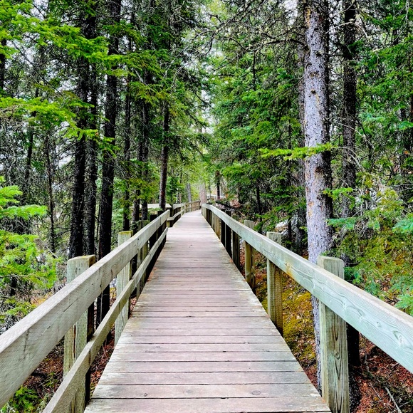 Meet your Posher, Da - Picture 1 of 2